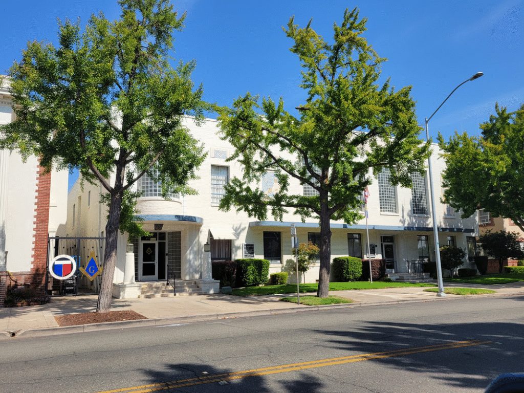 White building covered by trees