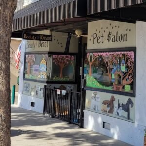 Beauty of Beast - square